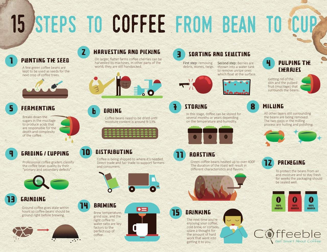 How coffee is produced?
