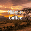 Ethiopian-coffee